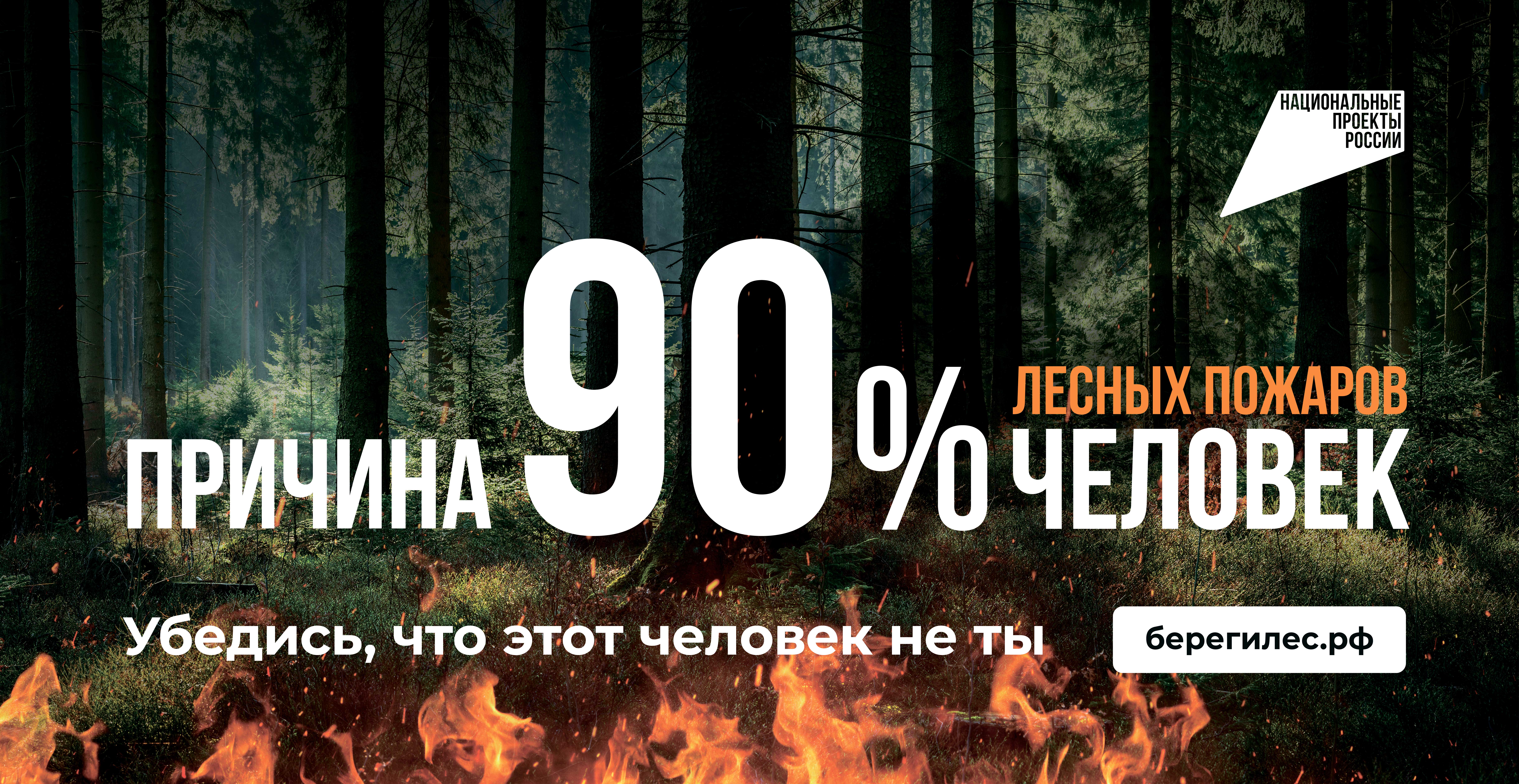 Пожарная безопасность в лесах Свердловской области — 2026: что важно знать каждому